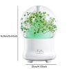 Ultrasonic Aromatherapy Essential Oil Diffuser Aroma Diffuser Cool Mist Humidifier Preserved Fresh Flower