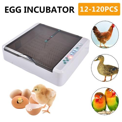 YZ-36 HHD Egg Incubator- Fully Automatic 36 Egg Mini Incubator