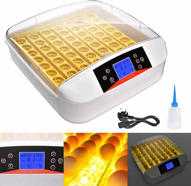 YZ-56S HHD Egg Incubator - Fully Automatic 56 Eggs Mini Incubator ...