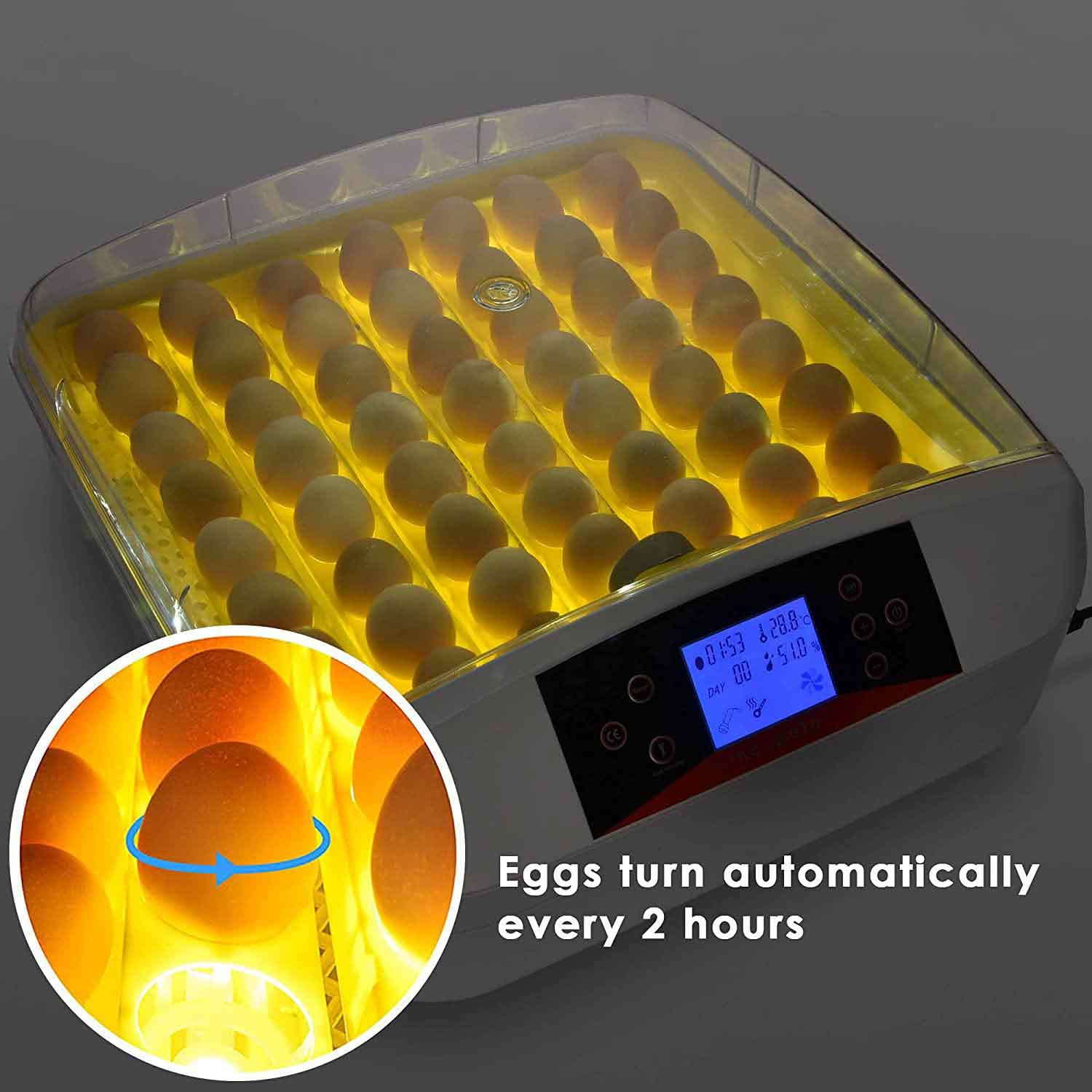 YZ-56S HHD Egg Incubator - Fully Automatic 56 Eggs Mini Incubator