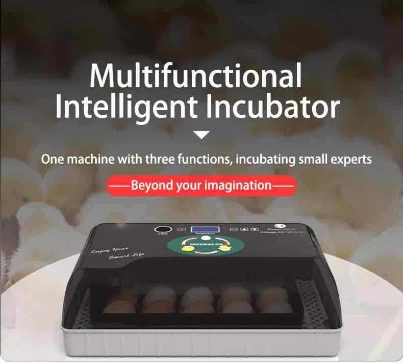 YZ9-20 HHD Egg Incubator - Fully Automatic 20 Eggs Mini Incubator