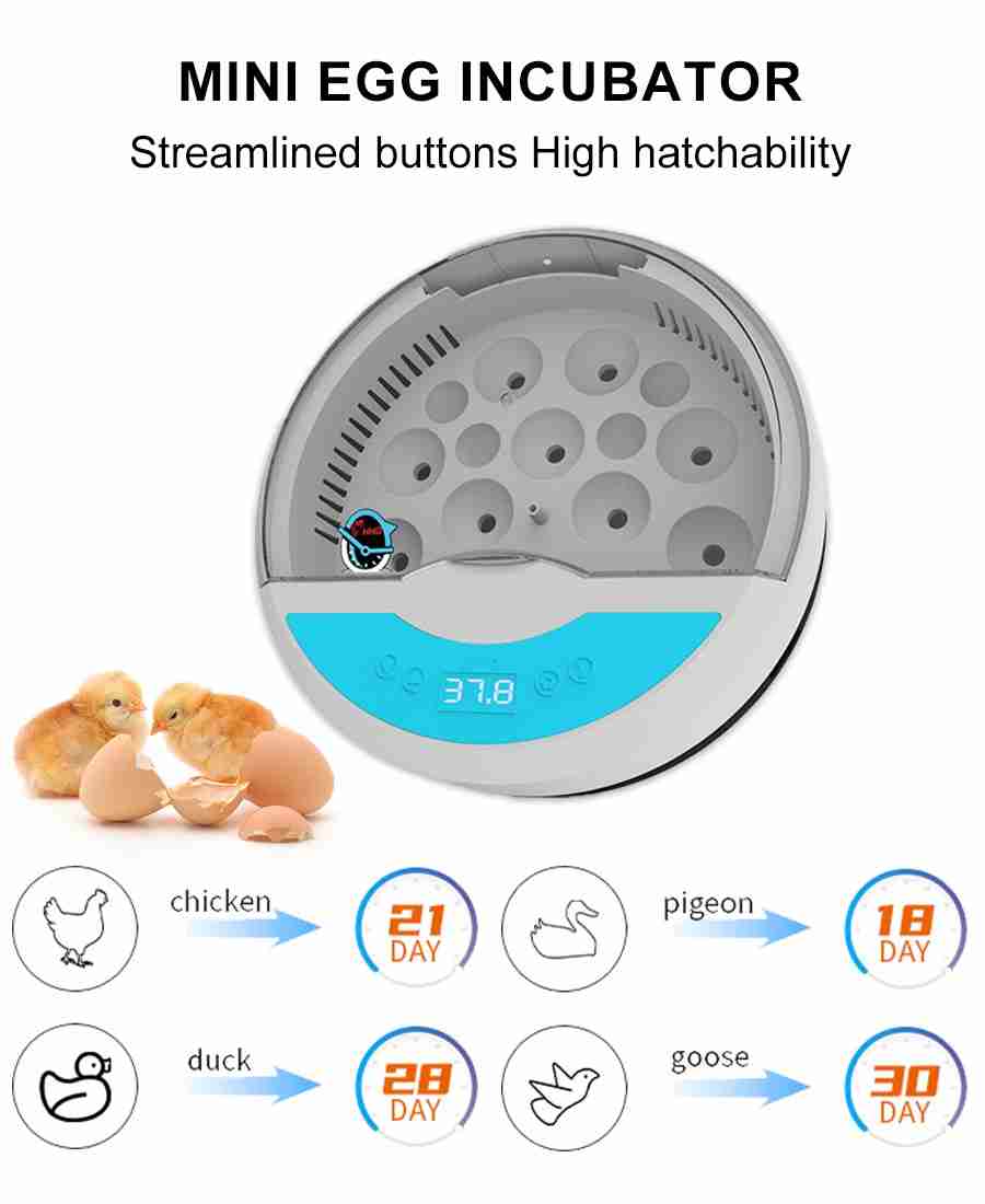 Fully Automatic Egg Incubator - HHD 9 Eggs Smart Incubator