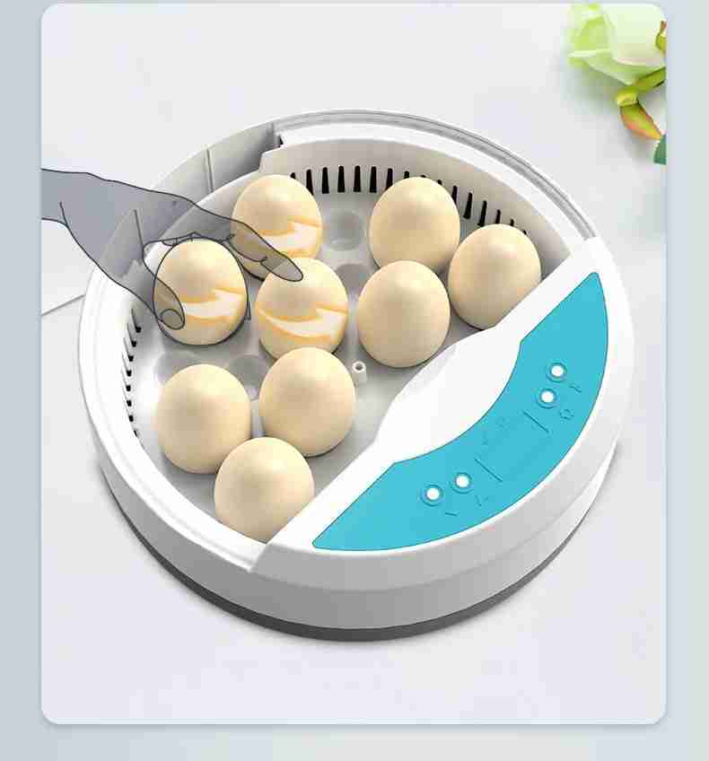 Fully Automatic Egg Incubator - HHD 9 Eggs Smart Incubator